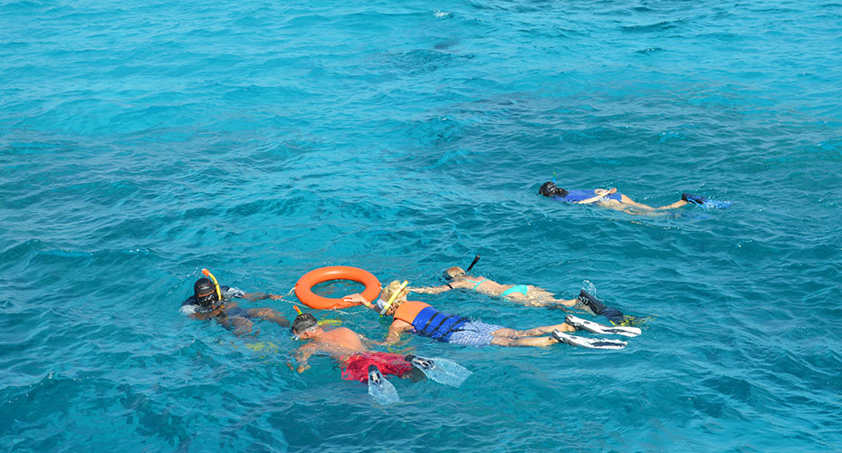 Snorkeling Trip to Tiran Island