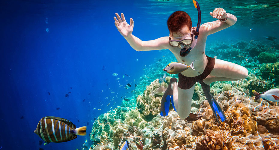 Snorkeling Trip At Port Ghalib Marina from Marsa Alam