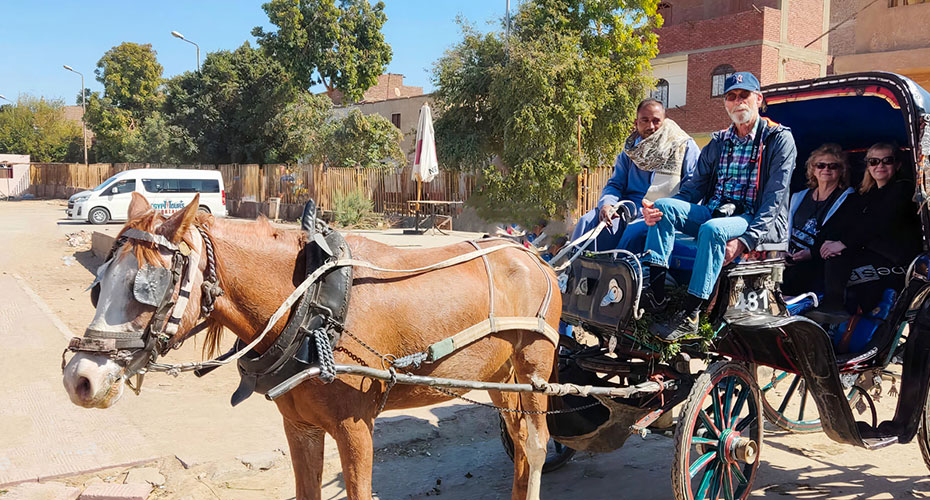 Aswan City Tour by Horse Carriage