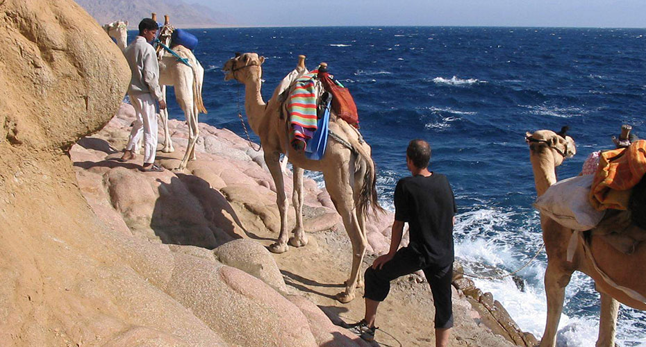 Abu Galum Safari Tours from Sharm El Sheikh